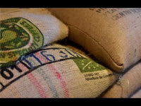 Lü’s Bio Rösterei Collection - 3x20 Holzkapseln